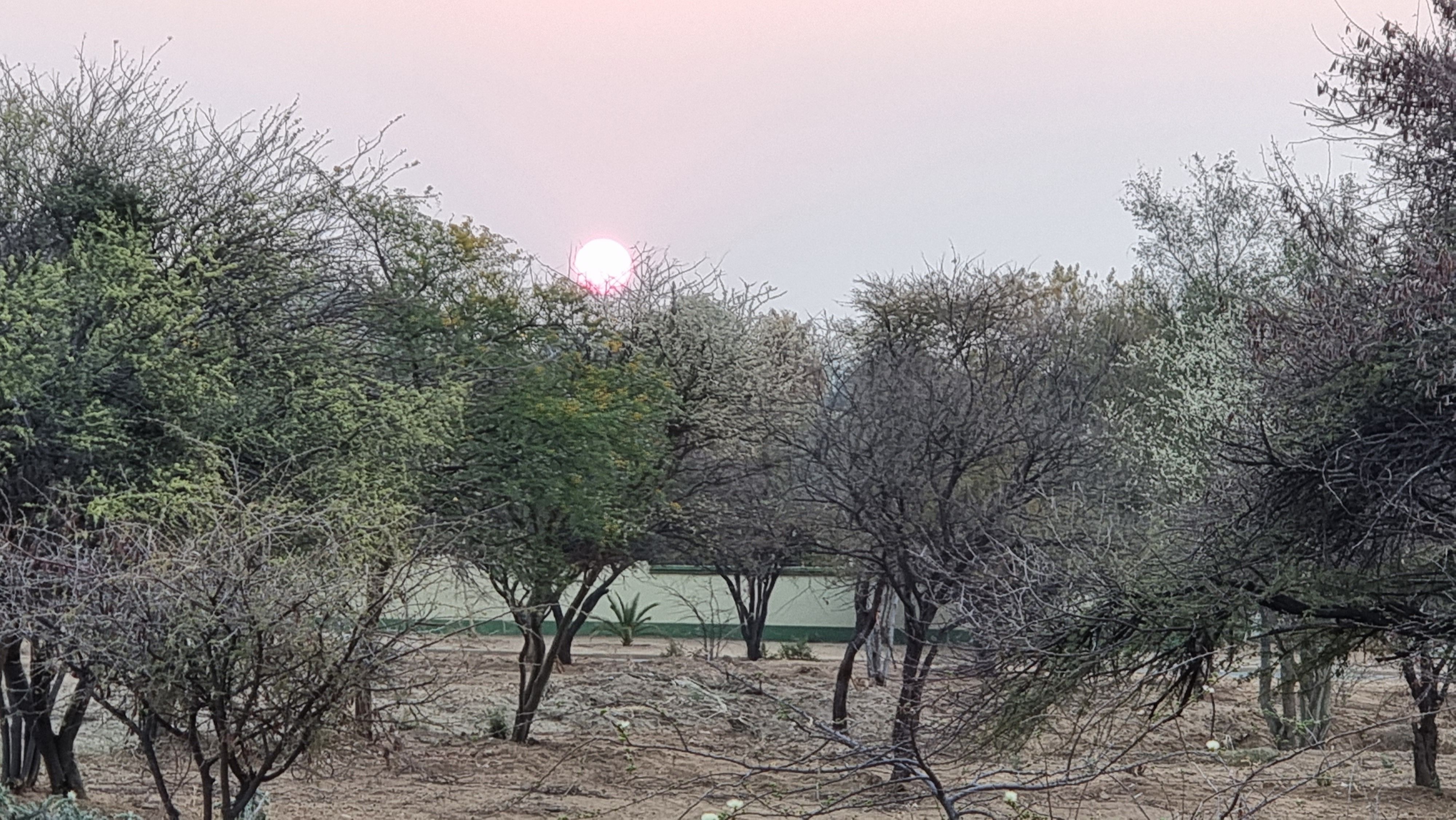 Click Image for next Picture