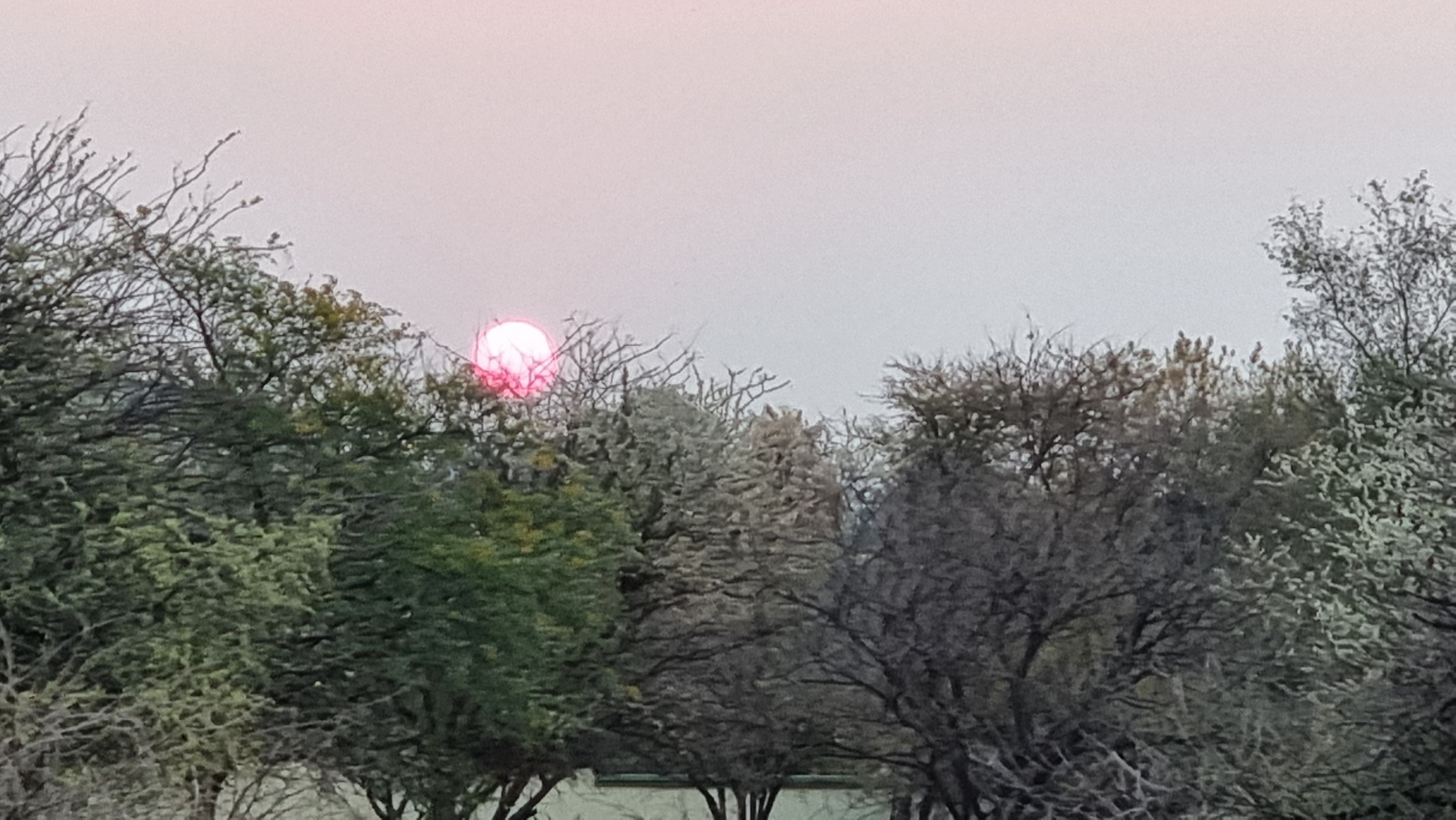 Click Image for next Picture