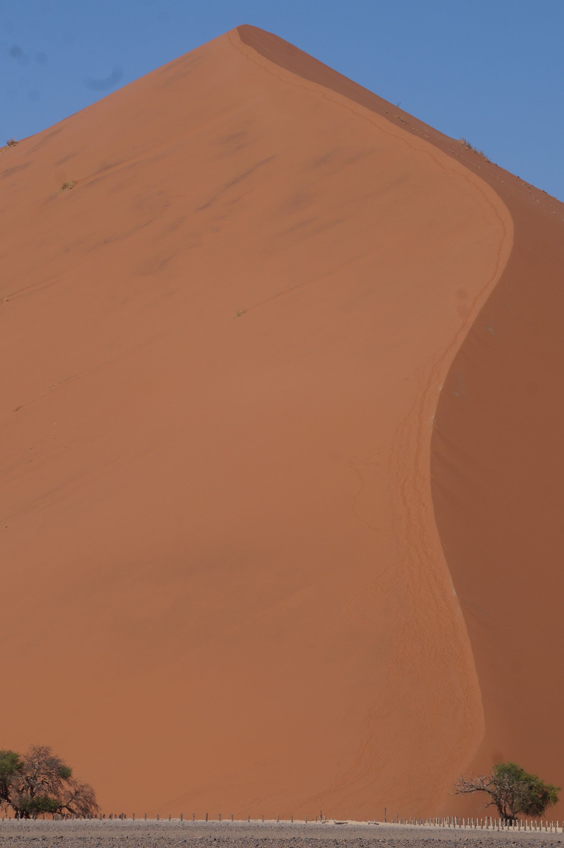 Click Image for next Picture