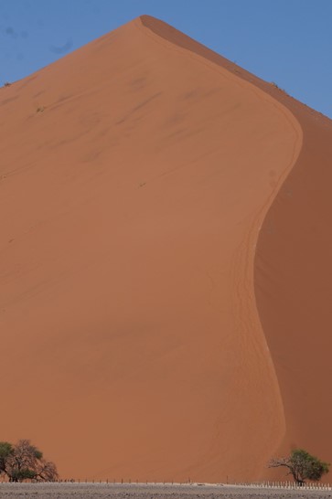 Click Image to goto Weblink