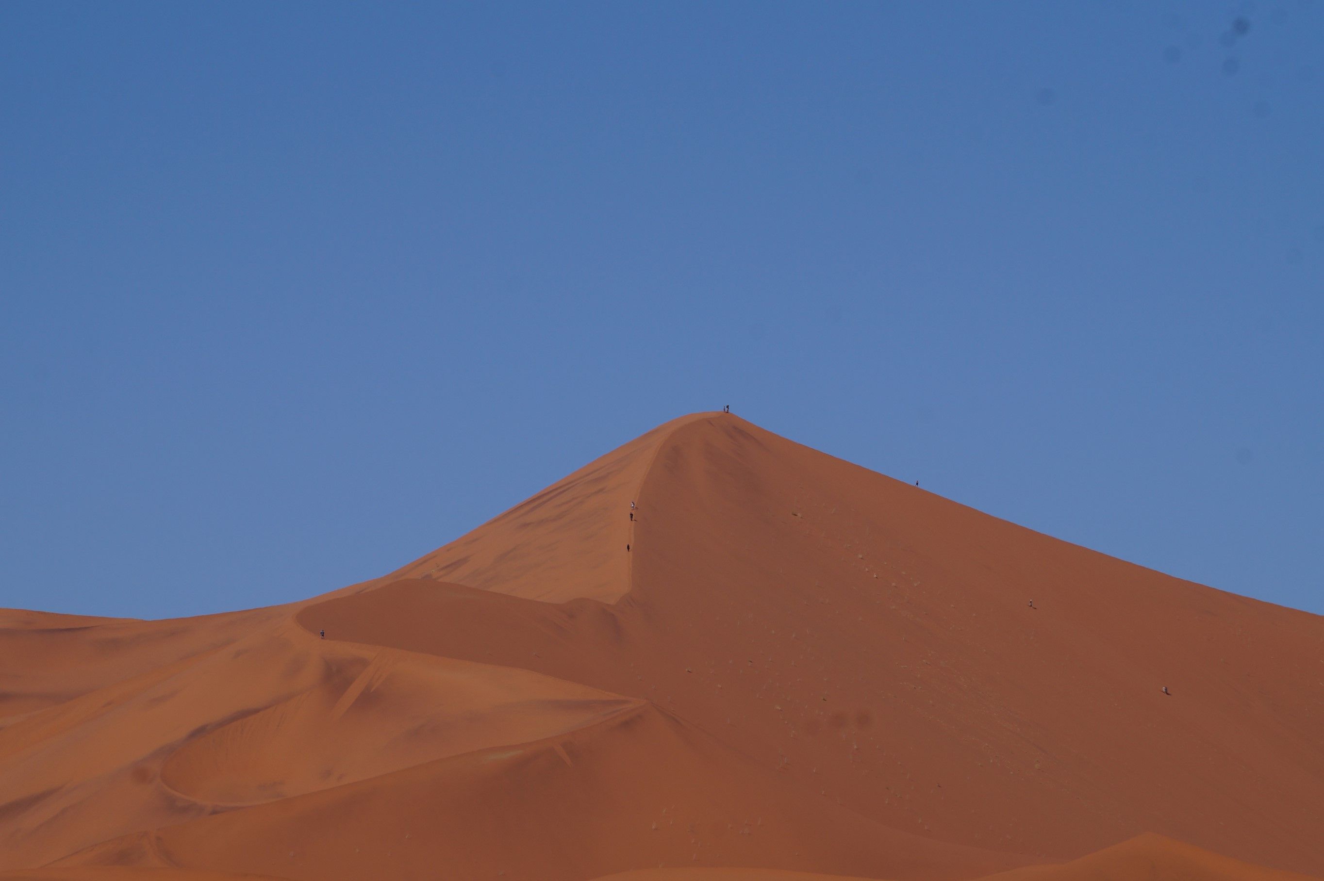 Click Image for next Picture