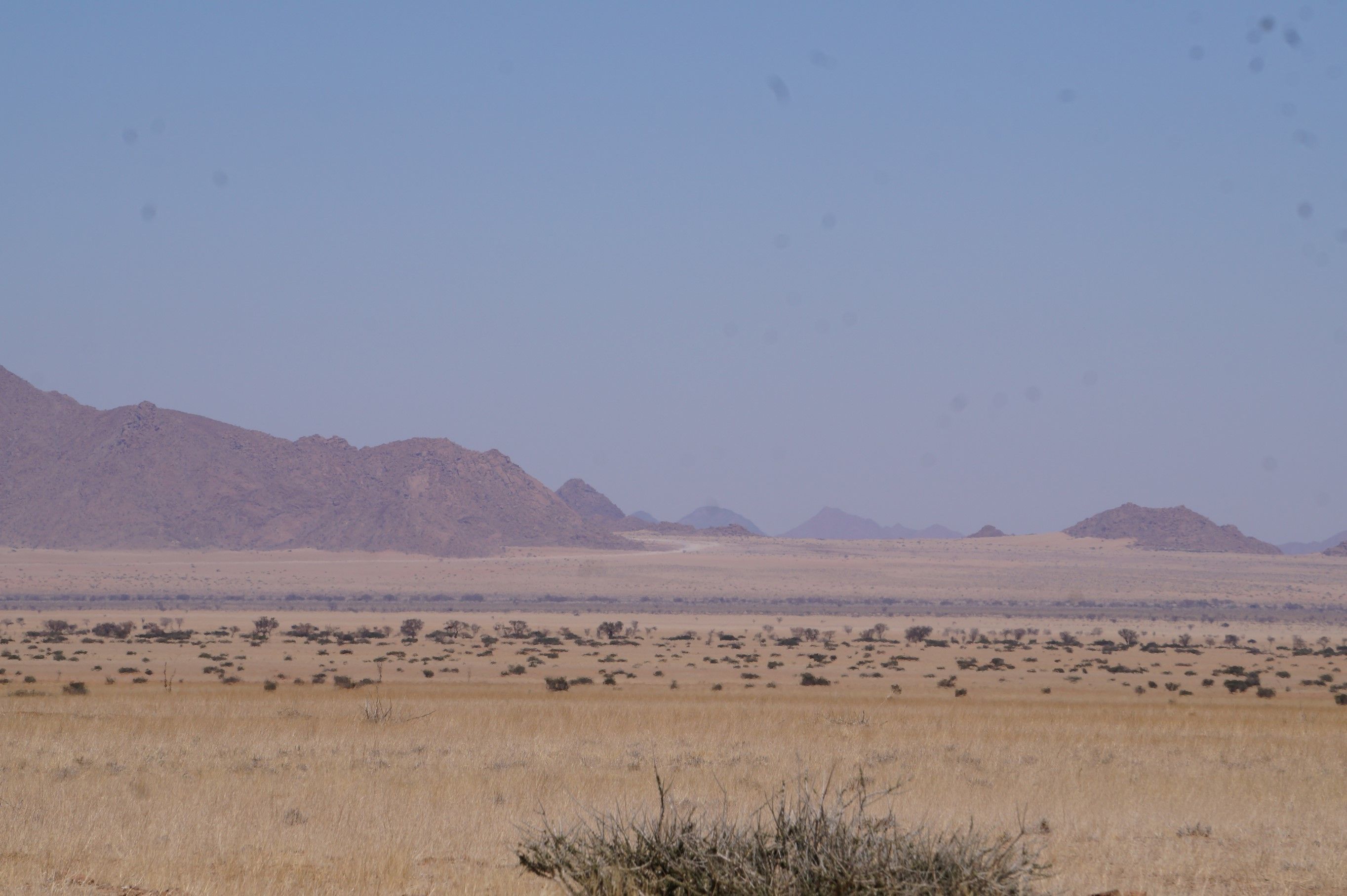 Click Image for next Picture