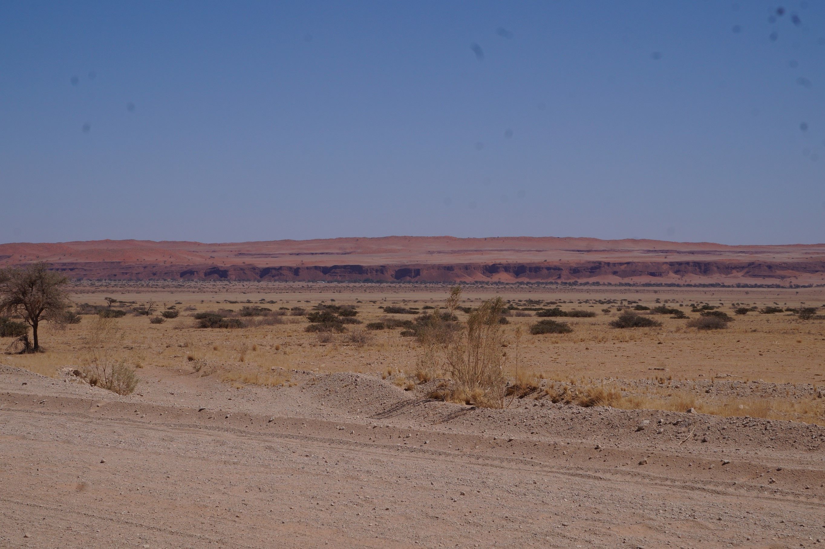 Click Image for next Picture