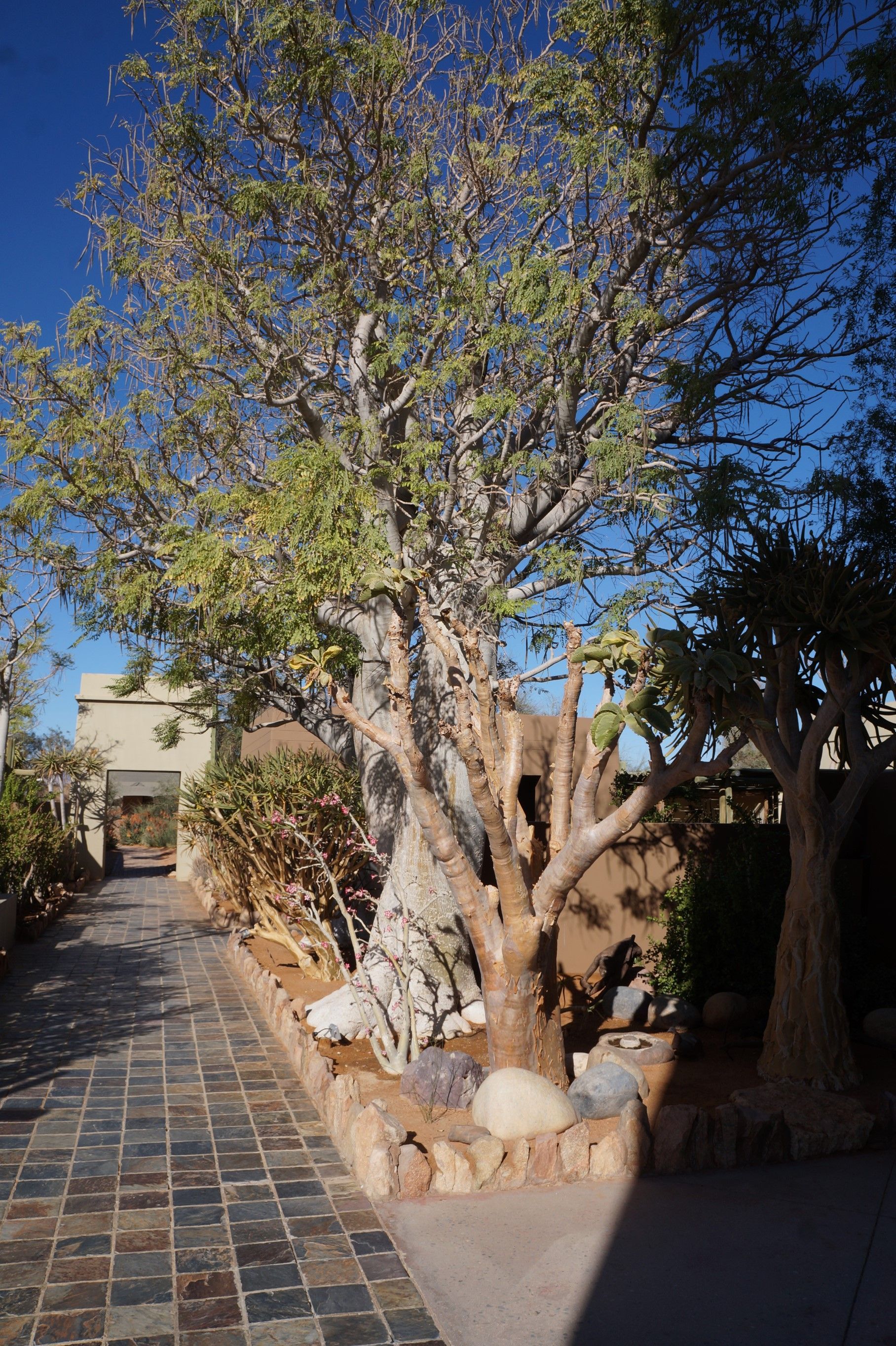 Click Image for next Picture