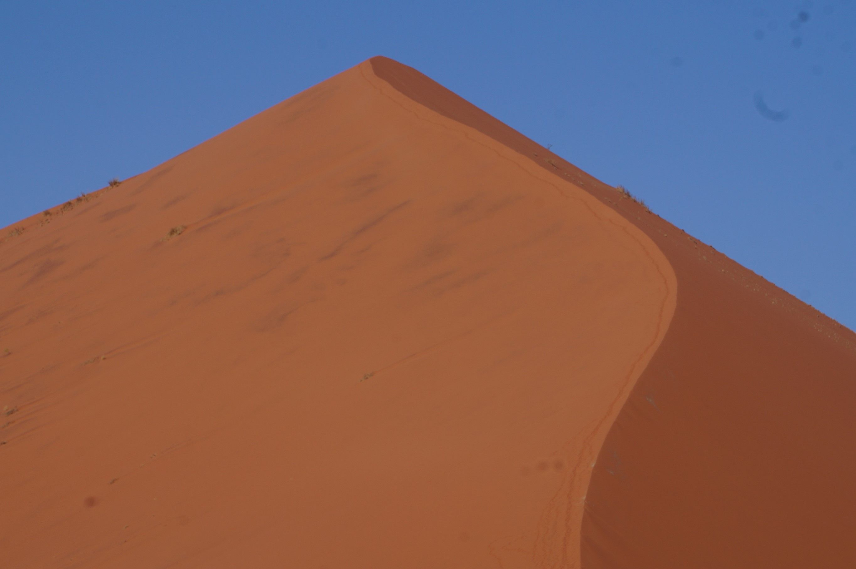 Click Image for next Picture